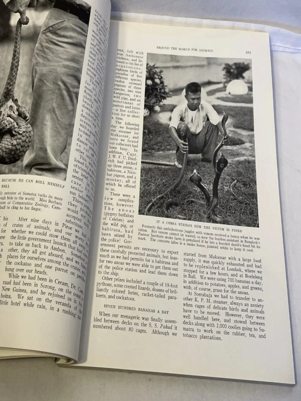Vintage National Geographic June 1938 Vol 73 No 6 Animals Adirondacks Java